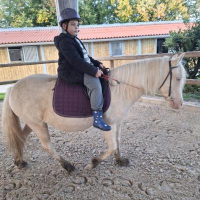 Diego sur plume