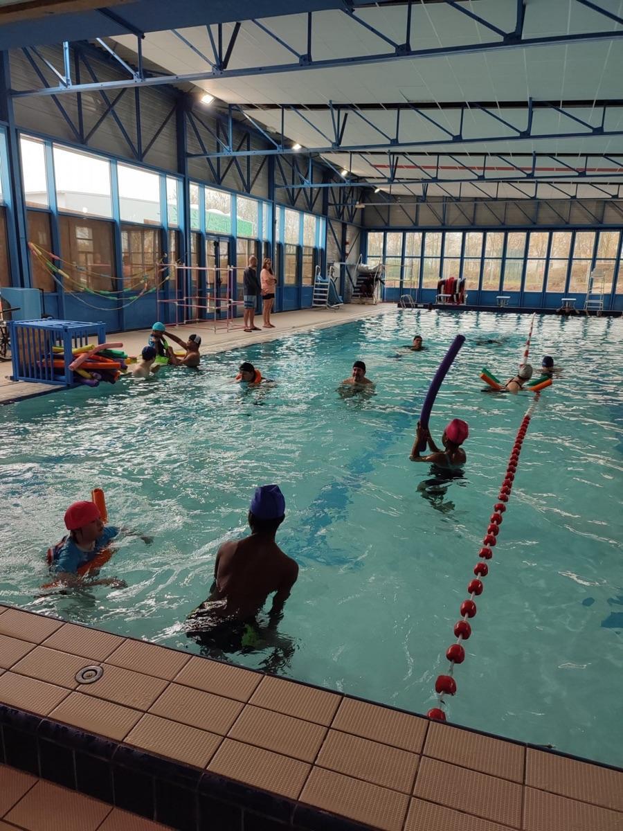 Natation Piscine Trappes