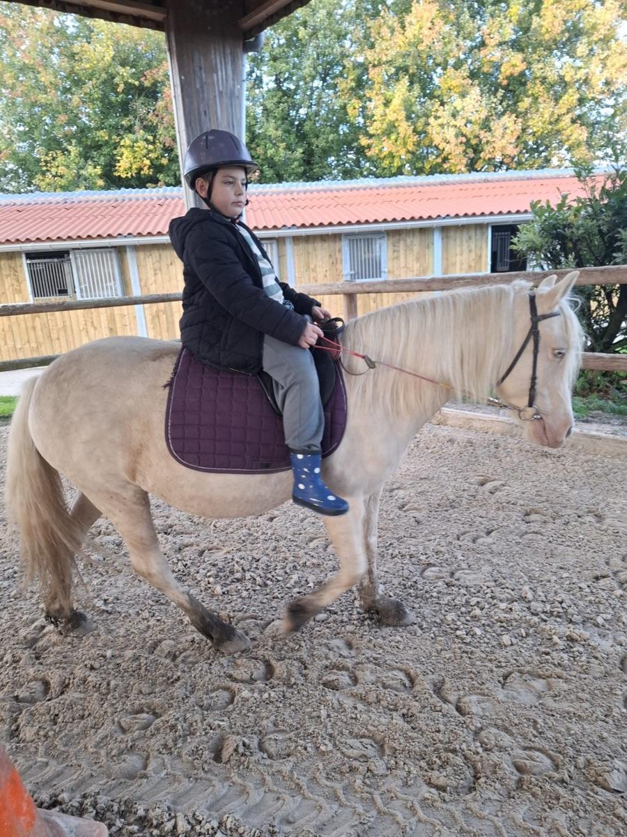 Diego sur plume
