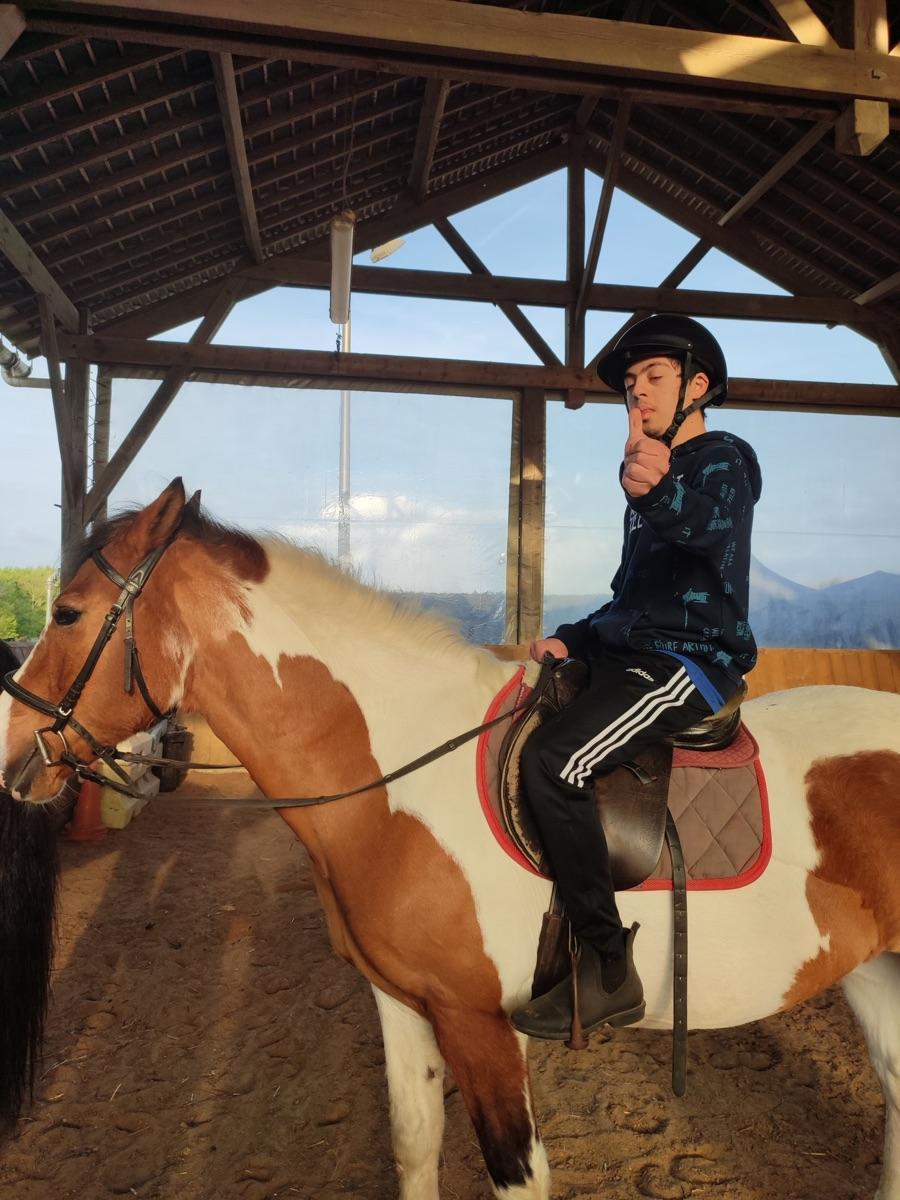 Équitation
